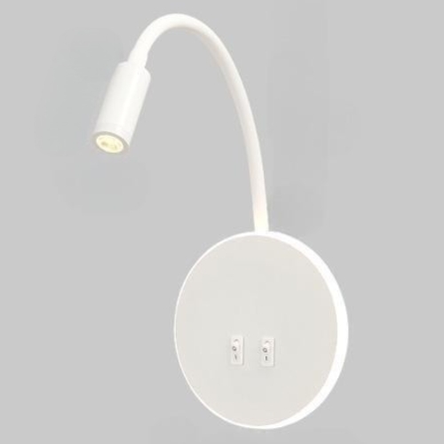 LED reading light with backlight and USB